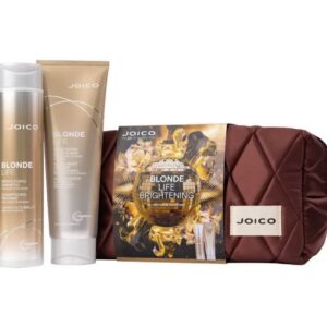 JOICO Blonde Life Brightening Dreamscape Duo