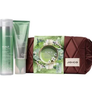 JOICO Scalp Vitality Dreamscape Duo