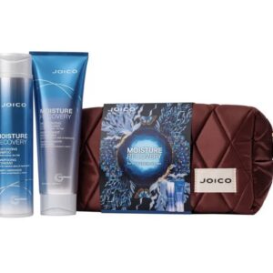 JOICO Moisture Recovery Dreamscape Duo