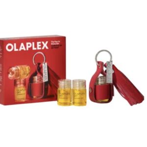 The Key to Shine Keychain Hair Kit